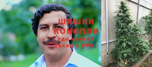 ГАЛЛЮЦИНОГЕННЫЕ ГРИБЫ Михайловка